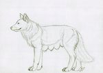  female feral fur mammal mixxiwuff plain_background teats white_background wolf 