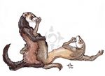  2010 ambiguous_gender crescentmoon ferret foot_fetish hindpaw licking nude on_back raised_leg tongue 