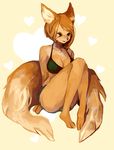  canine clothed clothing female fox mammal plain_background robi sitting skimpy solo swimsuit underwear white_background 