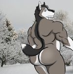  butt canine dog husky looking_at_viewer looking_back male mammal muscles nude pose raised_tail solo tail vamplust 