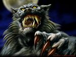  4:3 cat feline kemono_inukai solo standard_monitor wallpaper werewolf 