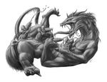  anal antar_dragon bobby123 chinese_dragon cum dragon dragontaur feral fingering masturbation multi_cock multiple_arms scalie 