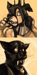  feline flir hypnosis lagomorph latex mind-control panther rabbit rubber skulldog transformation 
