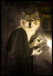  canine fursuit looking_at_viewer mammal photo qarrezel real robes solo wolf 