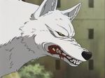  angry blood canine ear_tufts feral kiba male screencap snarling solo teeth white_wolf wolf wolf&#039;s_rain yellow_eyes 