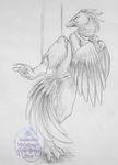  2010 avian bdsm bird bondage collar curiodraco female nude pussy raised_leg sketch solo spread_legs spreading 