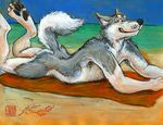  allison_reed beach canine dog husky java male mudshark nude seaside solo 
