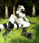  female grass karol_pawlinski lemur nude shadowsquirrel solo tree yellow_eyes 