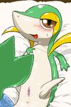  blush brown_eyes female half-closed_eyes looking_at_viewer lying nintendo on_back open_mouth pok&#233;mon pok&eacute;mon pussy pussy_juice ryouta_sumeragi snivy solo spreading tail tail_ring tongue tongue_out tsutaja uncensored unknown_artist video_games 