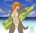  2008 beach bikini dalehan female ginger orange_hair otter outside seaside shore skimpy solo surfboard water 