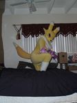  butt canine cosplay costume cute digimaon digimon female fox fursuit invalid_tag mammal real renamon solo teasing vixen 