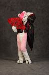  dog fan fur fursuit hair humor japanese lol male mammal pink pink_fur pink_hair pose solo unknown_artist 