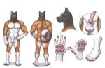  animal_genitalia canine canine_penis dog erection hurst knot looking_at_viewer male mammal model_sheet muscles nipples paws penis plain_background ratcandy sheath smile solo white_background yellow_eyes 