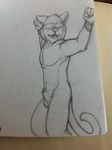  bdsm black_and_white bondage bound feline male mammal monochrome penis sketch sketchkat tiger 