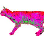  :) acid_trip alpha_channel animated cat colorful drugs epilepsy_warning feline gif looking_at_viewer mammal plain_background please_do_not_adjust_your_set rainbow raised_tail smile solo spinning tail taste_the_rainbow timb transparent_background trippy what 