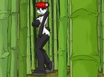  bamboo green_eyes panda pikanjo red_hair solo 