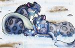  circle cub cute family feline female feral good_parenting kalida leopard licking love male mammal snow snow_leopard spots straight tail tongue tongue_bath young 