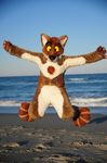  chest_tuft fursuit jumping latin_vixen looking_at_viewer male ocean real sea seaside solo tuft water yellow_eyes 