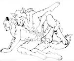 anal canine cheetah feline gay licking male nduli penetration penis tongue wolf 
