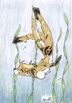  female jessica_willard kelp nude otter seaweed solo swimming tattoo underwater 