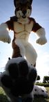 anthro beastcub canine crush fursuit macro mammal nature outisde outside paws photo real rogue rogue_(character) stomping wolf yellow_eyes 