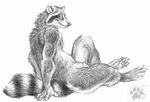  blotch erection looking_at_viewer male mammal monochrome nude penis plain_background raccoon realistic smile solo white_background 