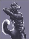  artonis canine knot male nude penis solo tail 