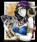  female fortune_teller luna tarot_cards tracy_j_butler 