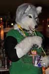  clothing collar eurofurence female fursuit glass mammal qarrezel real shirt solo wolf 
