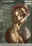  anthro big_breasts border_collie breasts canine dog female looking_at_viewer mammal muscles muscular_female pose pubes rough_collie solo zorro_re 