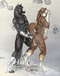  balls canine digitigrade dog equine gay hobbesdawg hooves horse horsecock indoors looking_at_each_other male muscles penis raised_tail roderick sabretoothed_ermine shower tail unguligrade wet 