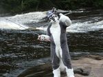 arinmal camo canine fishing fursuit hat human outside photo real river solo wolf 