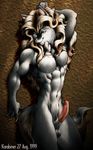  anthro balls brown_hair canine erection hair karabiner male mammal muscles nude penis solo 