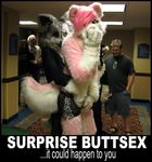  dog fur fursuit hair humor leather lol male mammal pink pink_fur pink_hair pose solo unknown_artist 