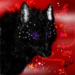  black black_fur canine chromatic_background edit feral fluffy fur hinauchi leaves mammal purple_eyes red_background shopped sparklewolf wolf 