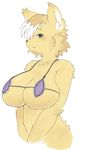  big_breasts blue_eyes blush breasts canine fang fangs female fox fur huge_breasts kemono long_ears looking_at_viewer mammal open_mouth plain_background sega shining_(series) shining_force sindoll solo standing video_games vixen white_background yellow yellow_fur 