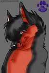  black black_hair canine cute fox fur hair mammal mav mavy red red_eyes scraddy solo 