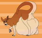  balls belly corgeh groan gurgle kangaroo looking_back male mammal marsupial morbidly_obese overweight post_vore solo stuffed vore 