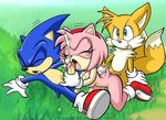  amy_rose blue breasts canine cum cumshot eyes_closed female fox from_behind gloves grass hedgehog male masturbation miles_prower mobian mobius_unleashed multiple_tails nude oral orange orgasm penis pink sega sex smile sonic_(series) sonic_the_hedgehog tail tongue vaginal 
