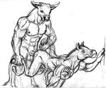  bovine bull equine gay hooves horse male neverman 