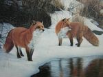  4:3 ambiguous_gender brown_eyes canine colored couple ear_tufts feral fox painting snow standard_monitor tails unknown_artist wallpaper water whiskers wilderness winter 