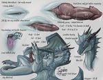  anus balls butt cum dragon erection male model_sheet narse nude penis scalie solo spire tail veins 