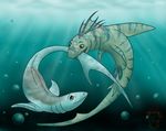  creature71 duo fangsofwhite feral fish marine shark underwater water 