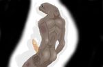  alien butt elite erection halo_(series) nude penis sangheili solo video_games 