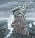  ambiguous_gender dragon feral grey myenia ocean solo storm wings 