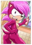  bathroom breasts female from_behind hedgehog mobian mobius_unleashed nude pussy sega sex sonia_the_hedgehog sonic_(series) tail 