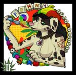  canine dog dreadlocks drugs female heterochromia joint lighter mammal marijuana necklace penny pipe rastafarian smoking tattoo troublefree 