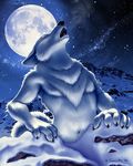  2006 black_nose canine claws eyes_closed fangs howl male moon mountain navel open_mouth snow solo stars tail taurin_fox wolf 