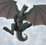 cloaca dragon everydaydolphin feral flying male penis scalie solo wings 