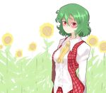  arms_behind_back ascot between_breasts blouse blush breasts clothes_between_breasts flower frown green_hair kazami_yuuka oso_(toolate) plaid plaid_skirt plaid_vest red_eyes skirt skirt_set solo sunflower touhou untucked vest white_background 